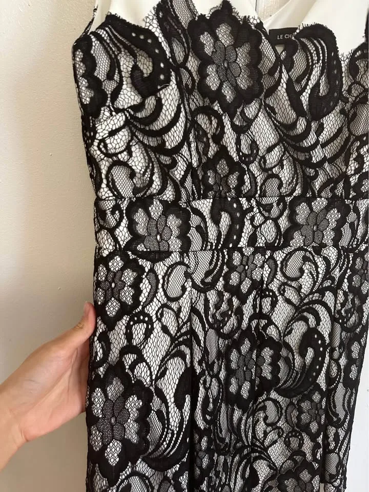 White Lace Le Chateau Dress image indicator(4)