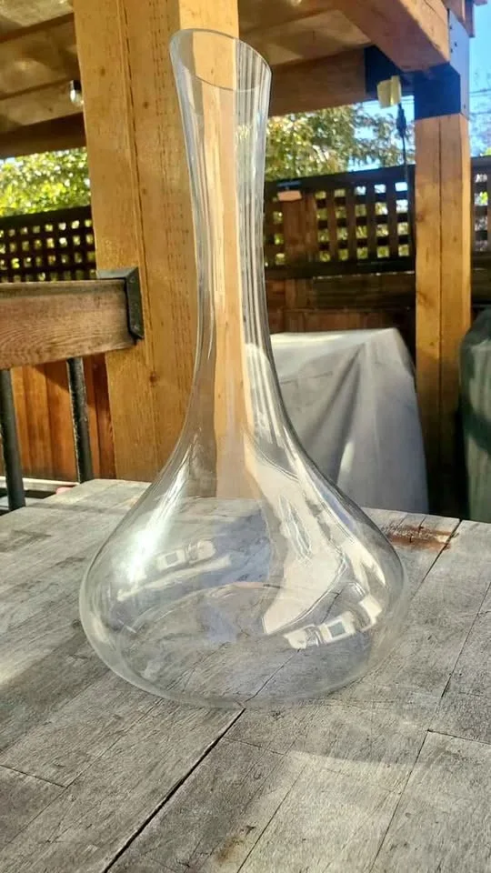 MOVING SALE: Luigi Bormioli Italian Wine Decanter