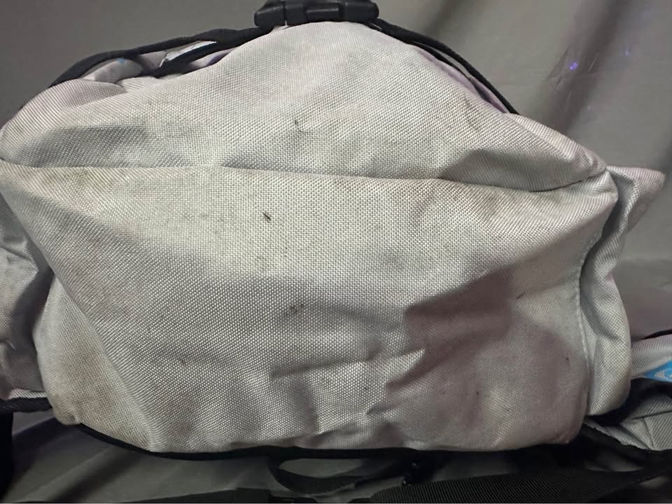 Roxy snowboard backpack - photo 4