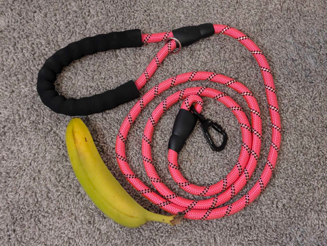 Dog leash for Med to Large dog.