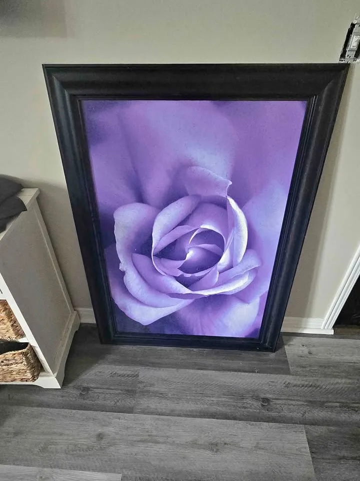 Purple Flower Picture