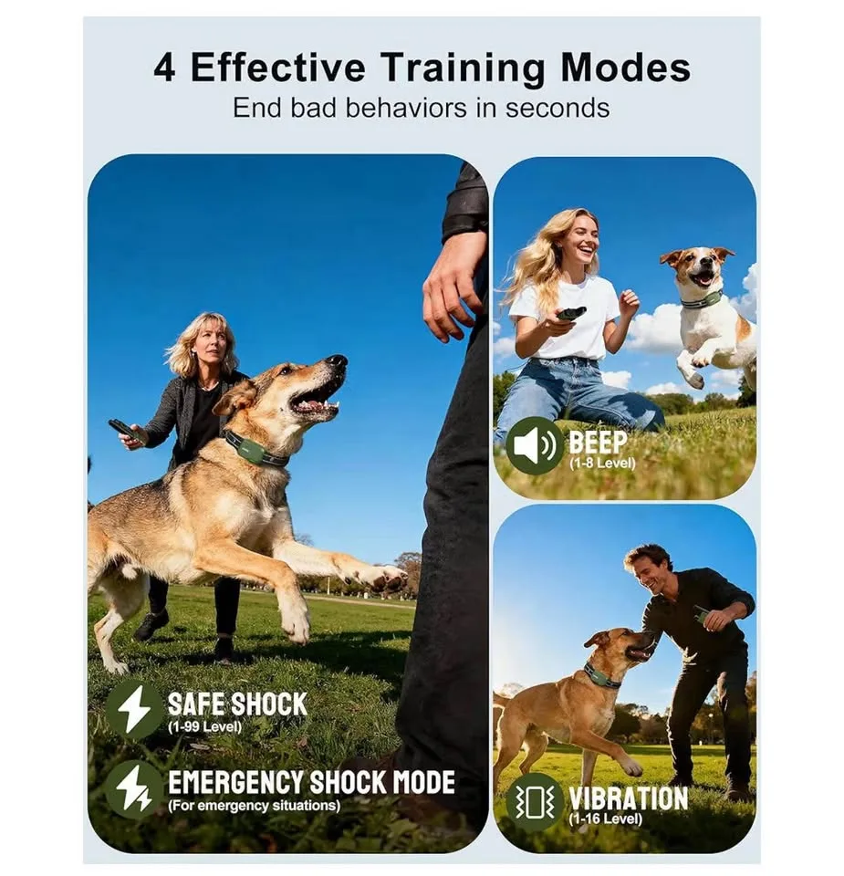 Dog Shock Collar image indicator(2)