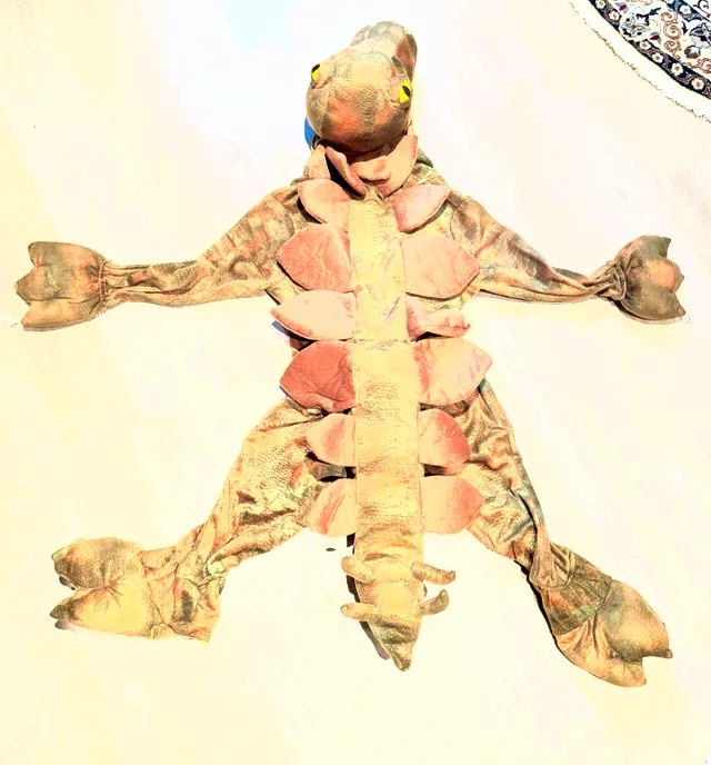 Dinosaur Padded Halloween Costume -size 2-3T image indicator(4)