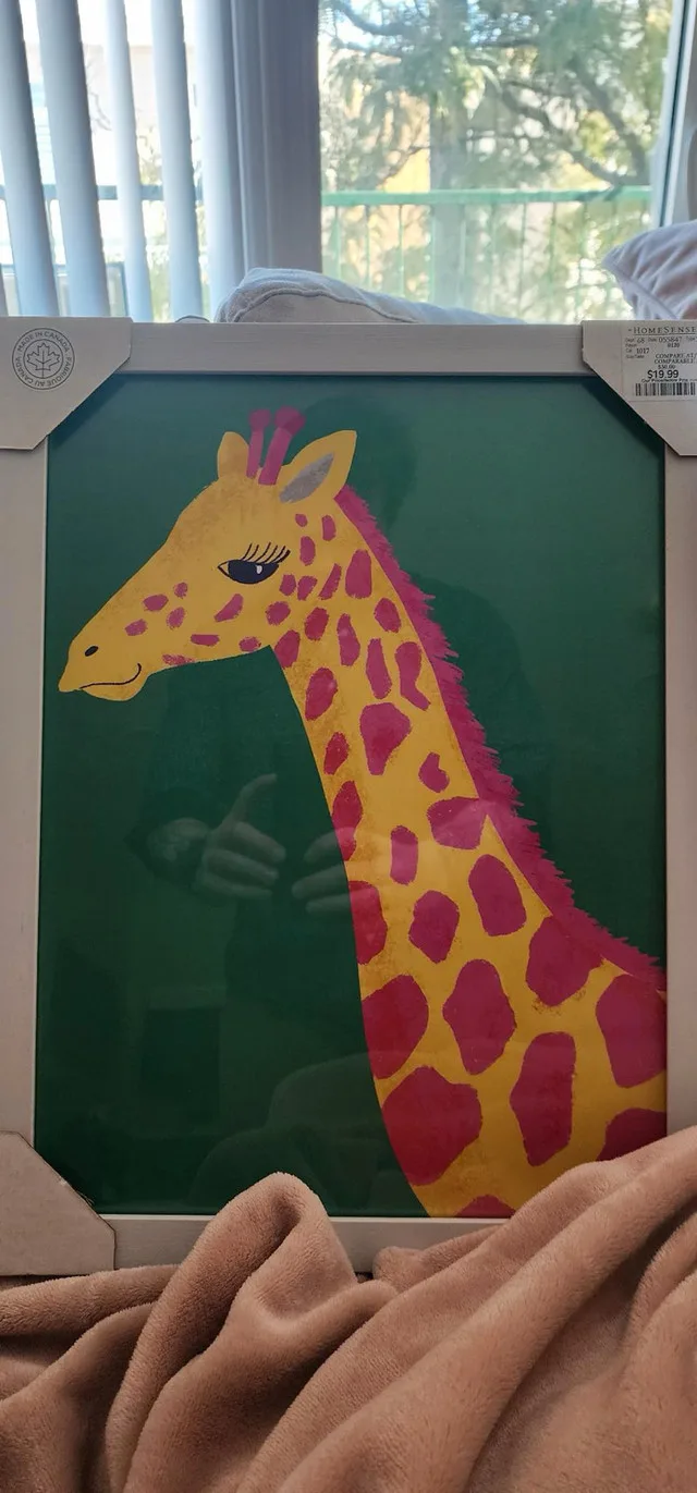 Set of 4 Framed Animal Prints image indicator(4)