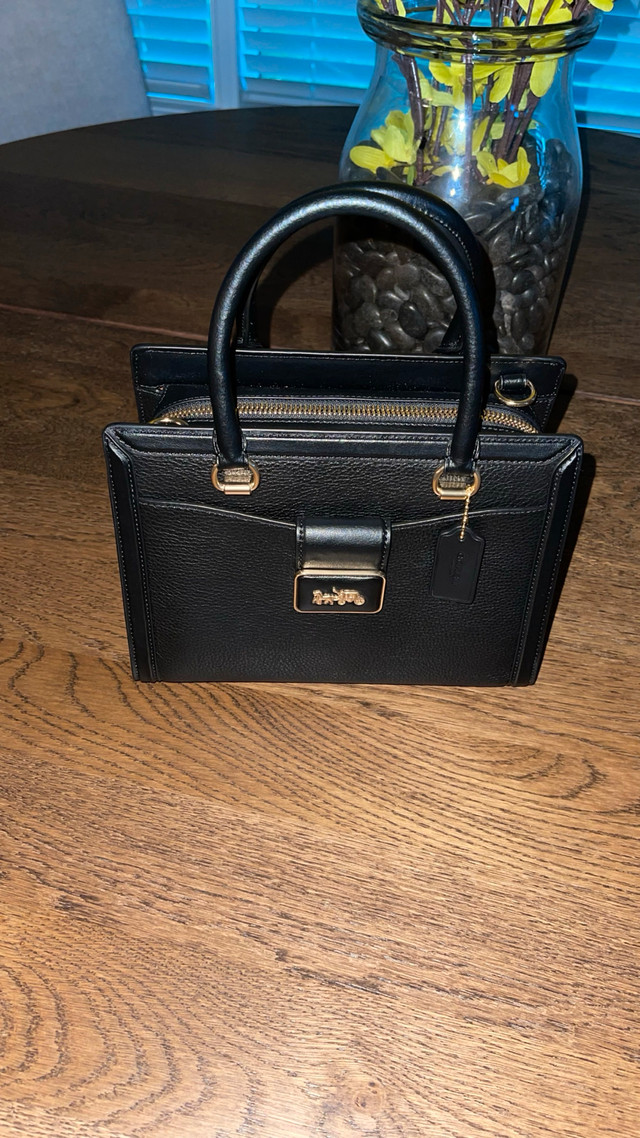 Coach Grace Carryall