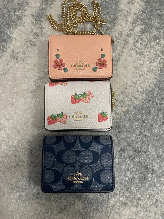 Coach Wallet On a Chain $75 each image indicator(2)