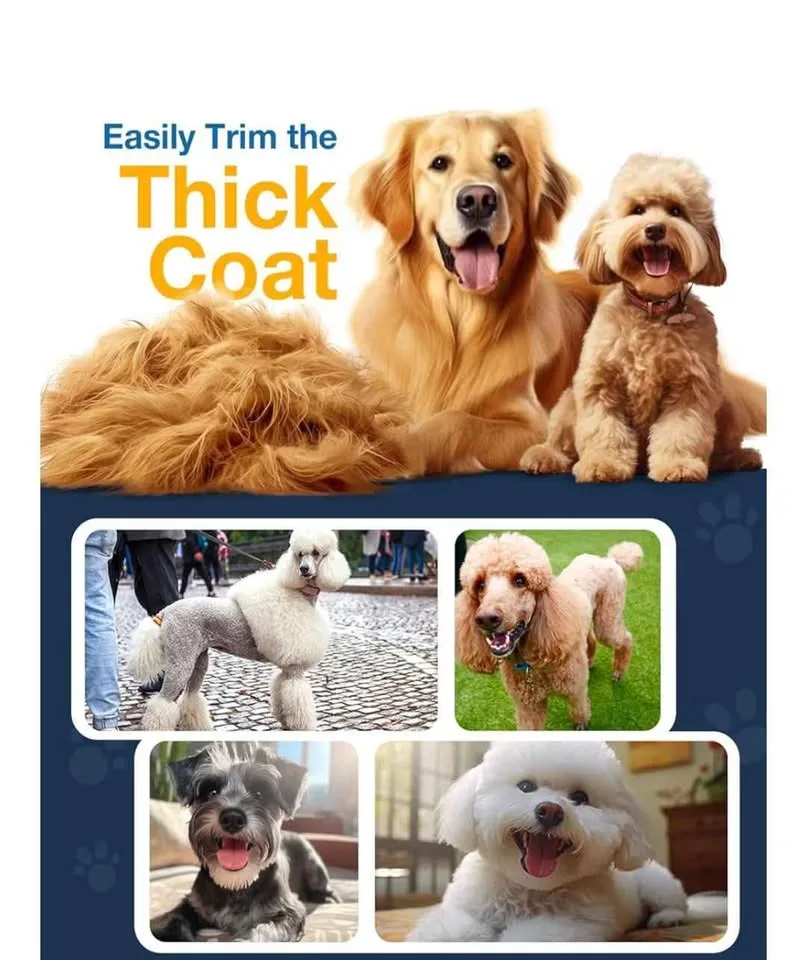 Pet Clippers - NEW with all accessories 🥕 image indicator(4)