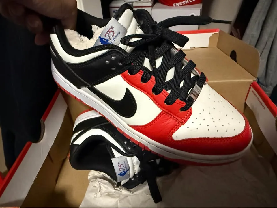 Nike / Jordan Sneaker Lot – OG Boxes, Great Condition image indicator(4)