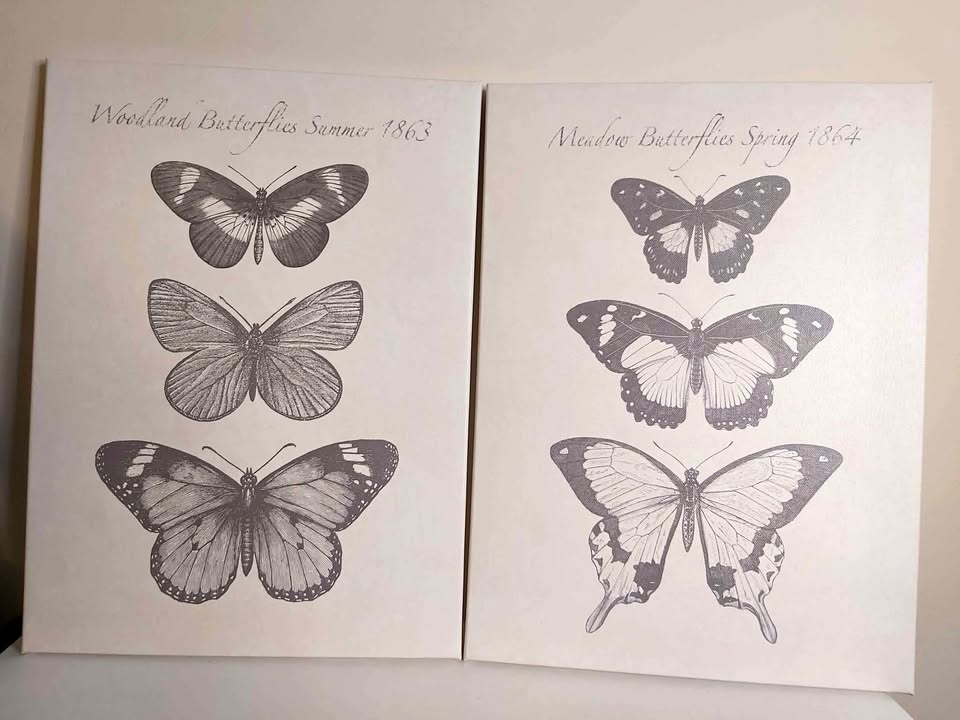 Two IKEA canvases