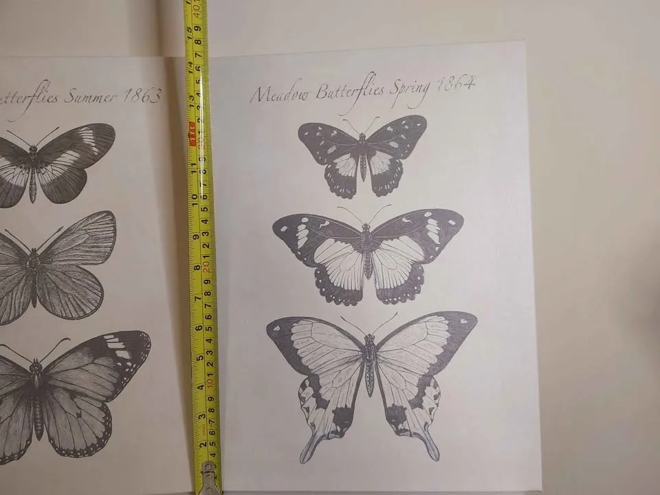 Two IKEA canvases image indicator(2)