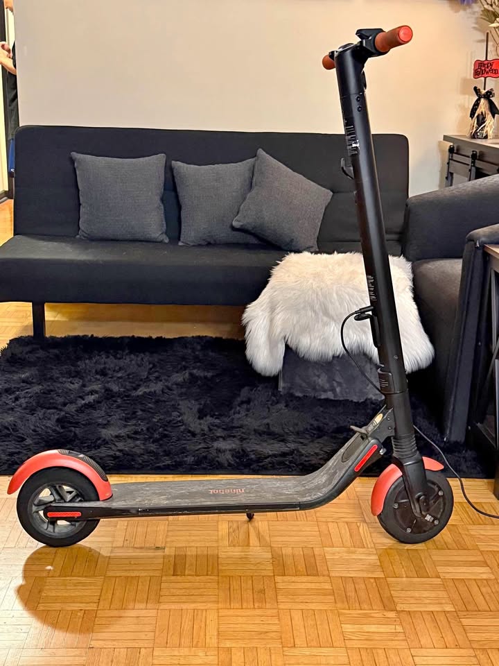 Ninebot Scooter