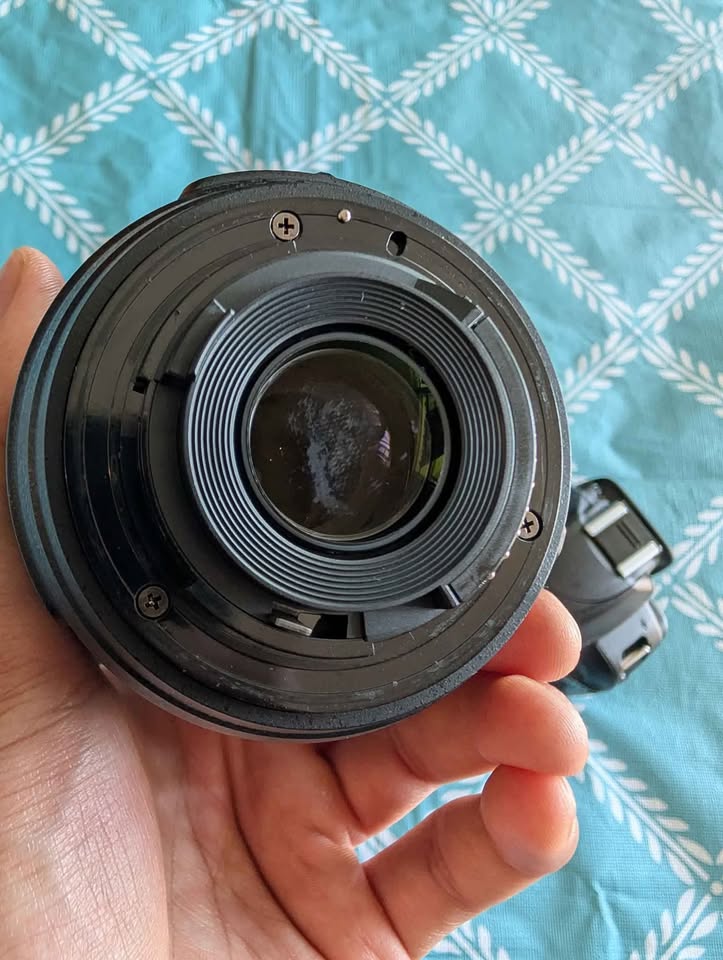 Nikon D3100 with kit lens - photo 5