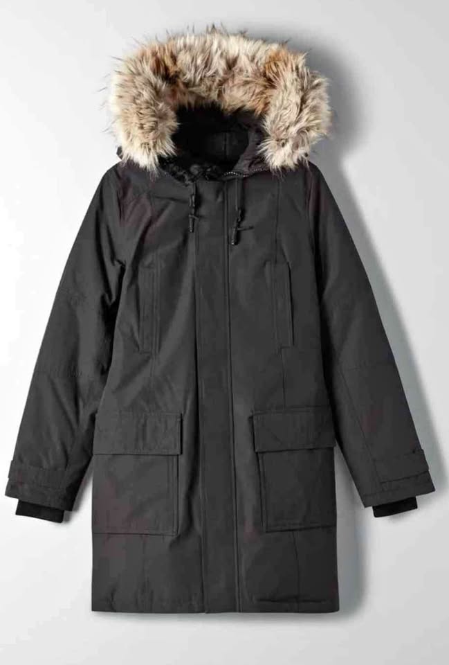 Aritzia Bancroft Parka size Small