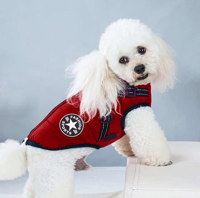 Waterproof Warm Jacket for Dogs: Size XS - photo 3