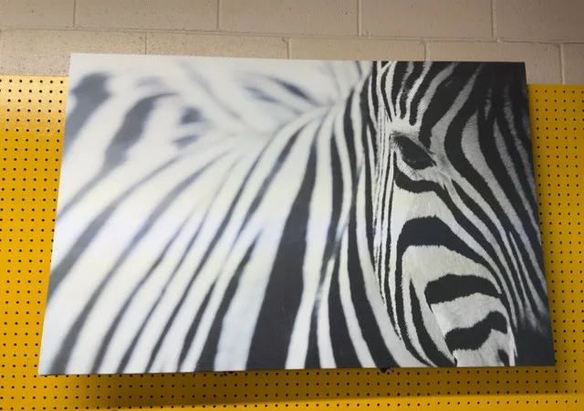 Zebra Art Print