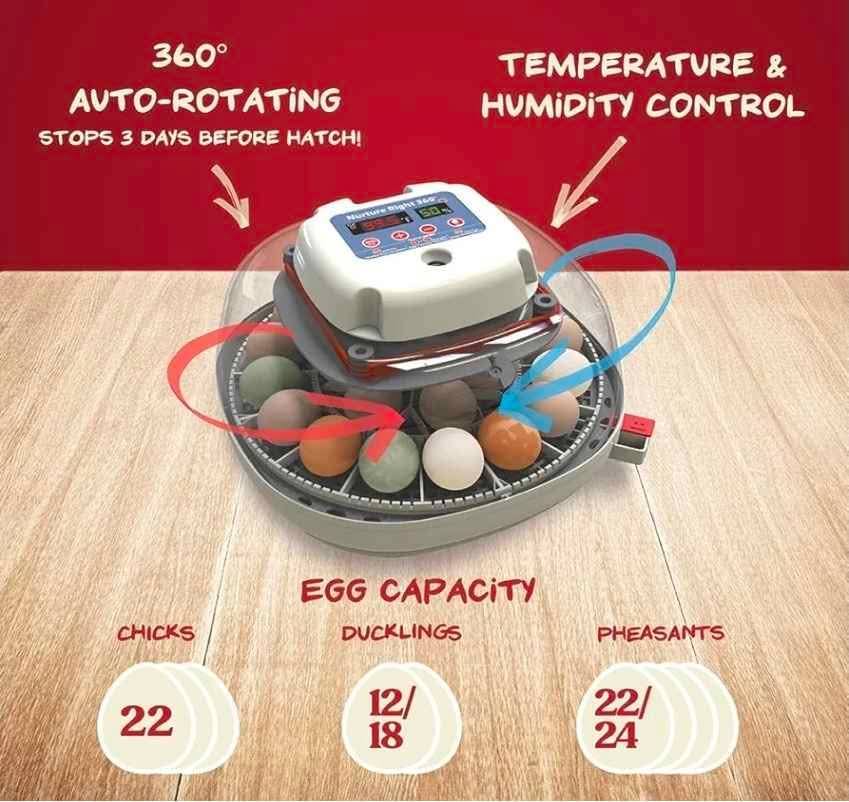 12 to 24 egg incubator - photo 3