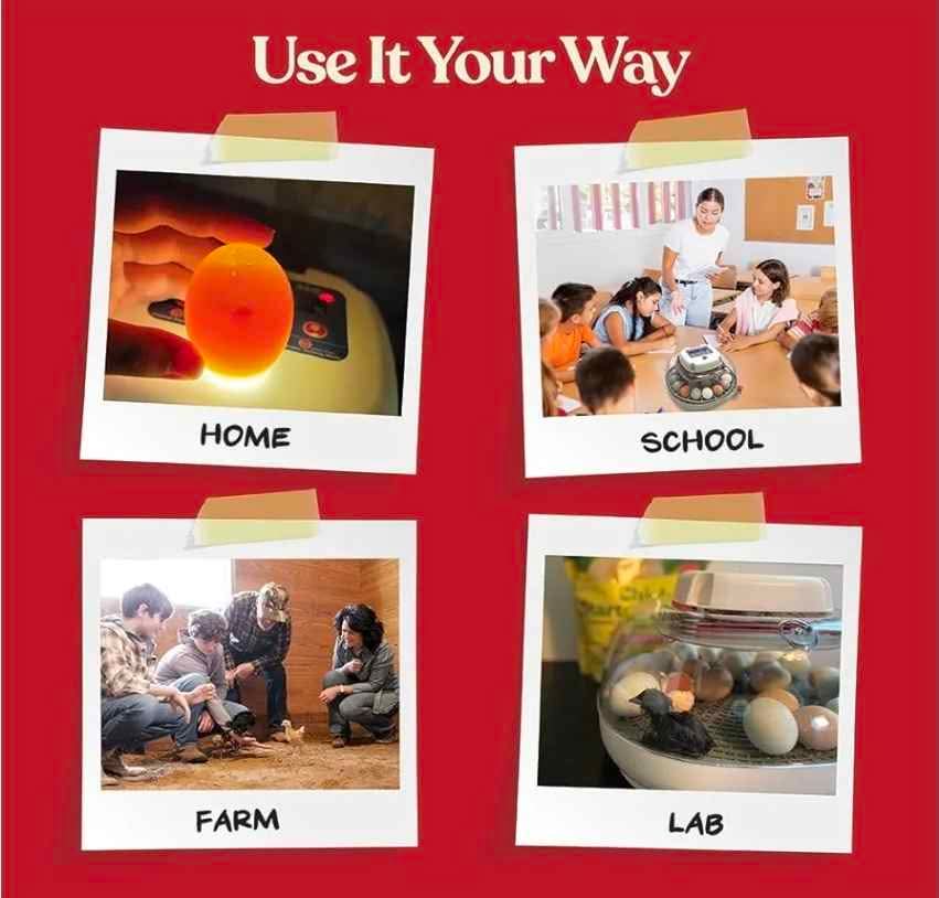12 to 24 egg incubator - photo 4