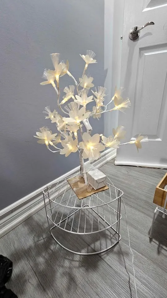 Sleep lamp image indicator(2)