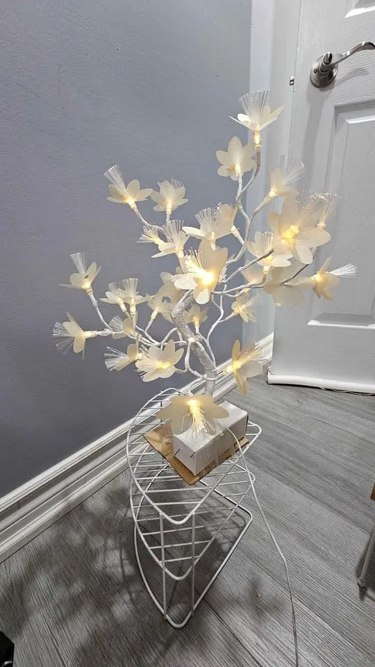 Sleep lamp image indicator(3)