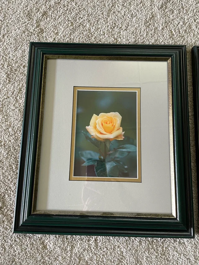 Wall hanging picture frames image indicator(2)