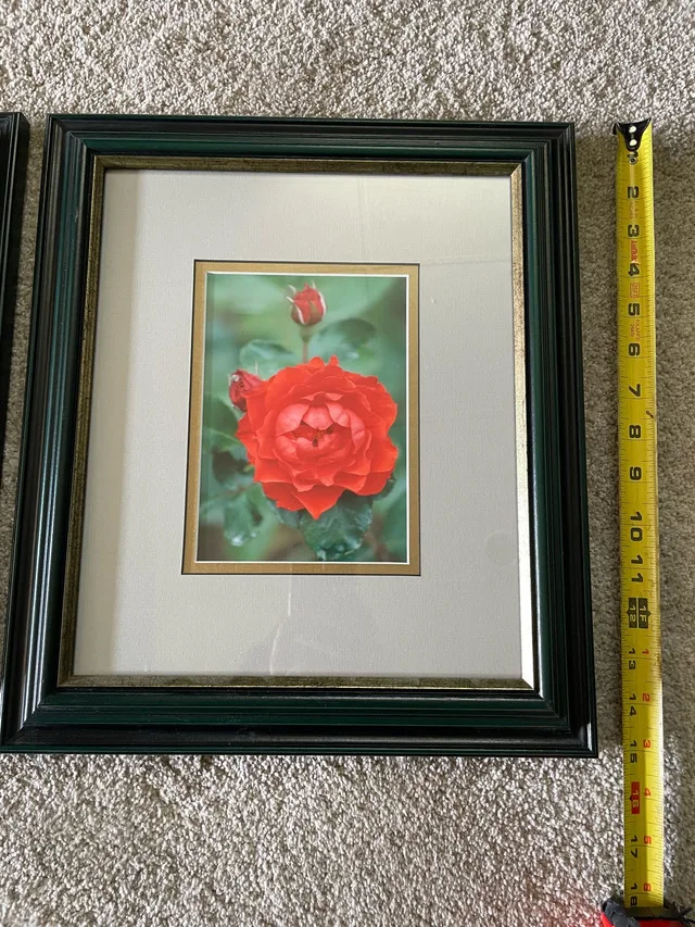 Wall hanging picture frames image indicator(3)