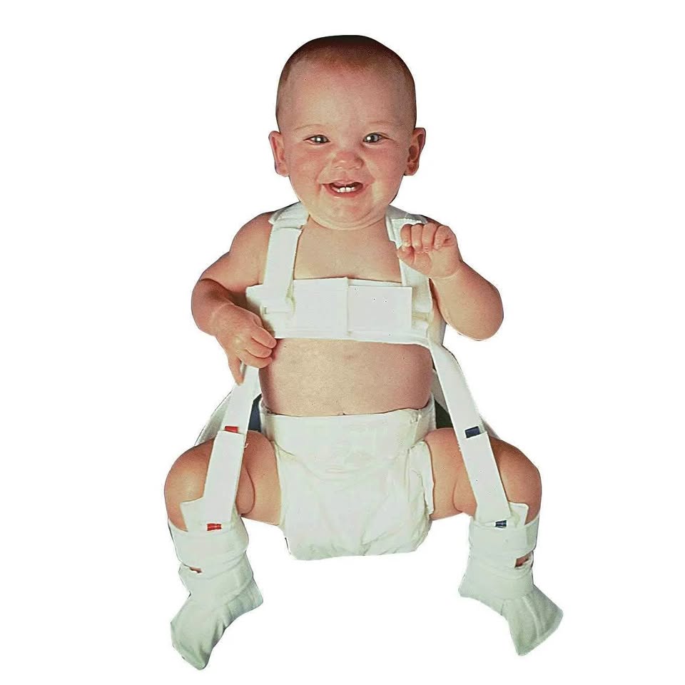 Wheaton Pavlik Harness