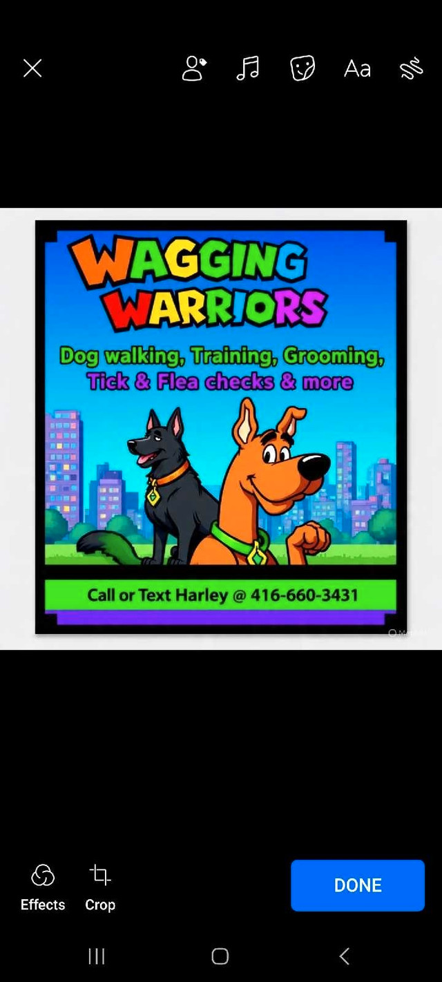 Dog walker starting at $18