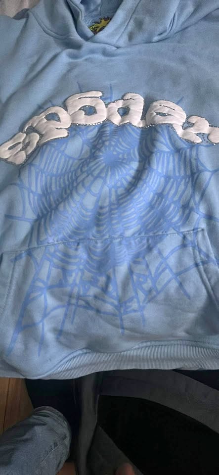 baby blue spider hoodie