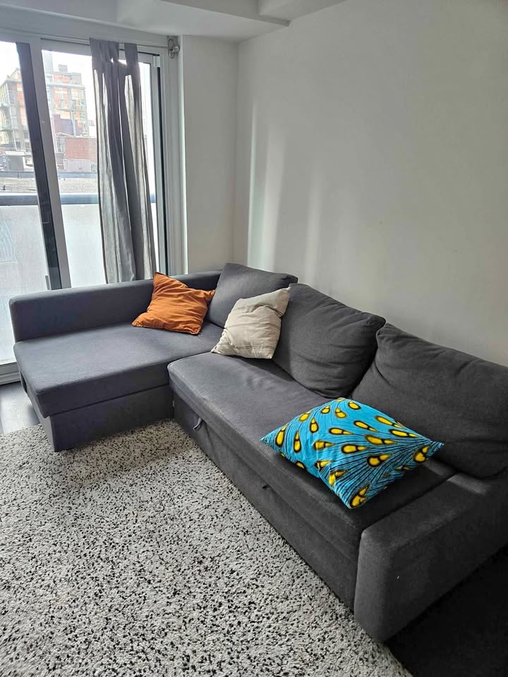 Sectional sofa couch IKEA Friheten