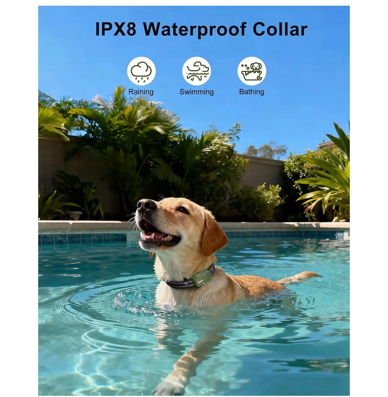 Dog Shock Collar image indicator(4)