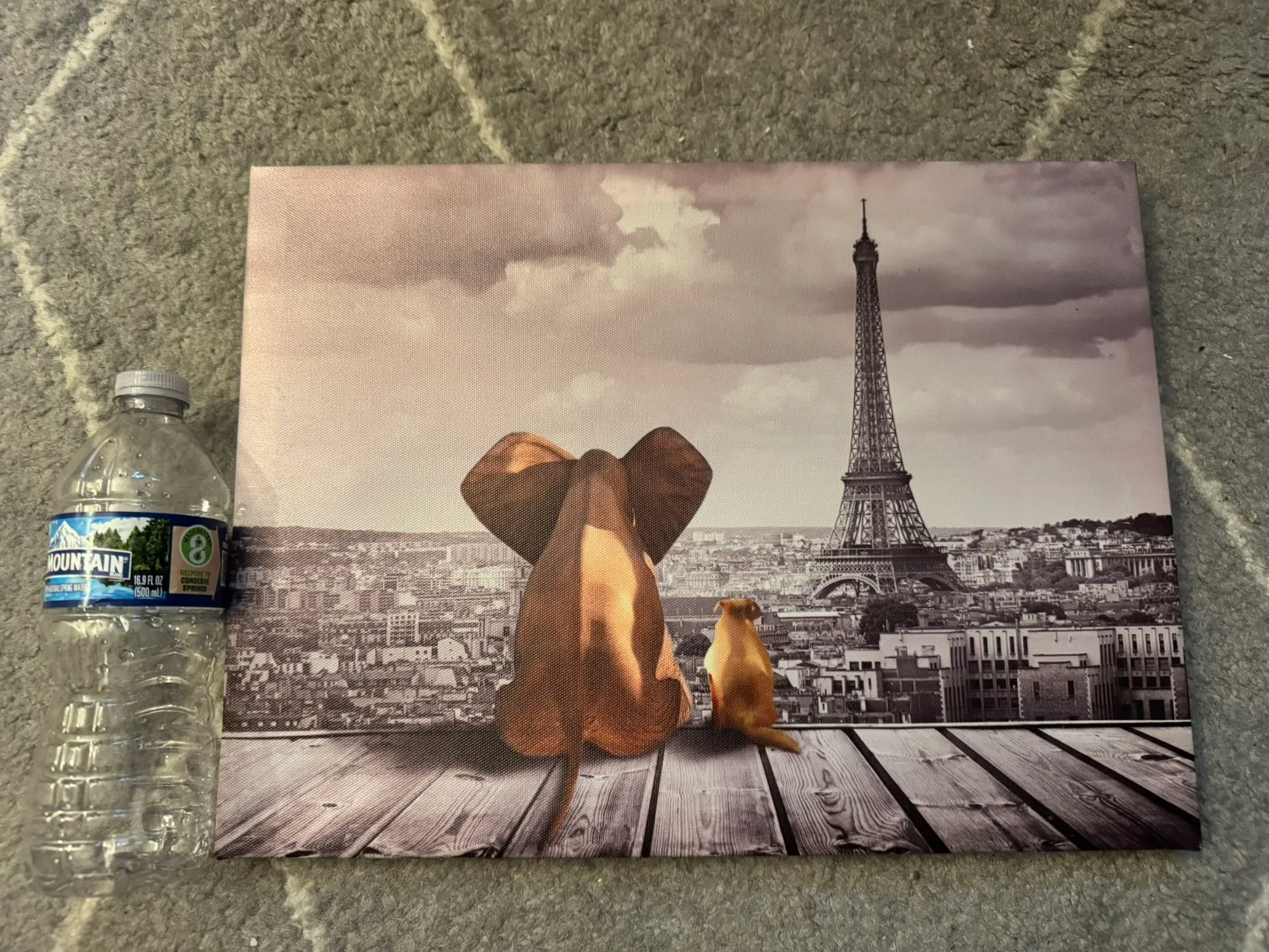 Canvas wall art 15.5” x 11.5” thumbnail
