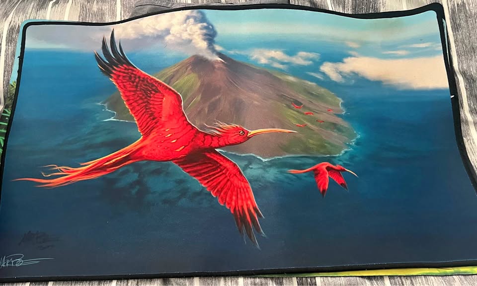 Signed Mark Poole Birds of Paradise Playmat