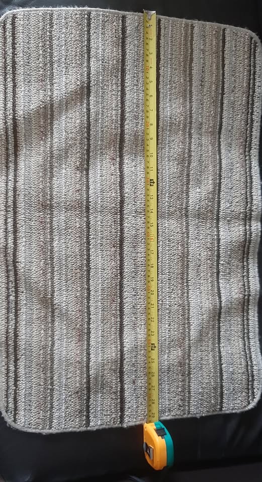 Door mat/ rug (brand new)🥕 - photo 3