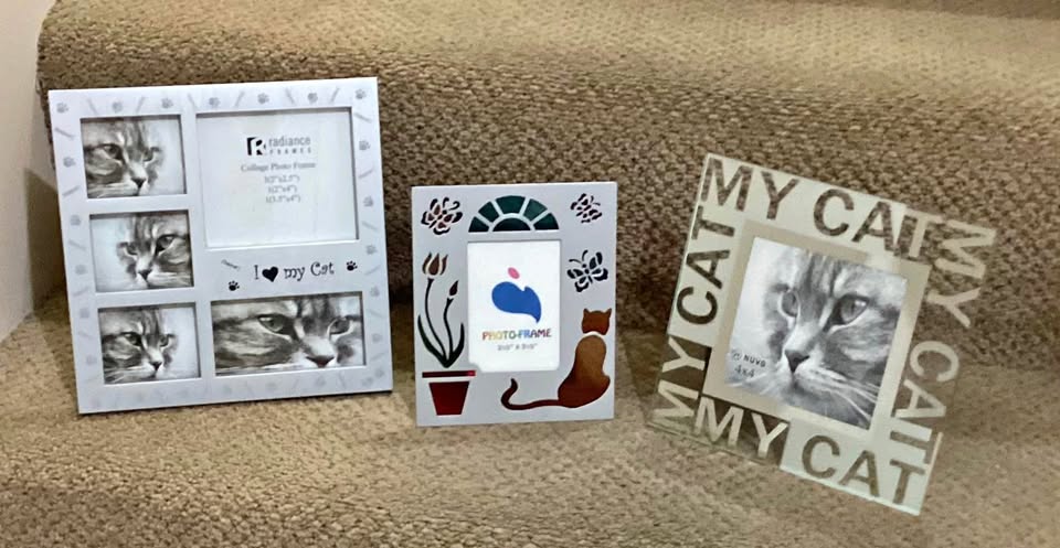 Cat frames
