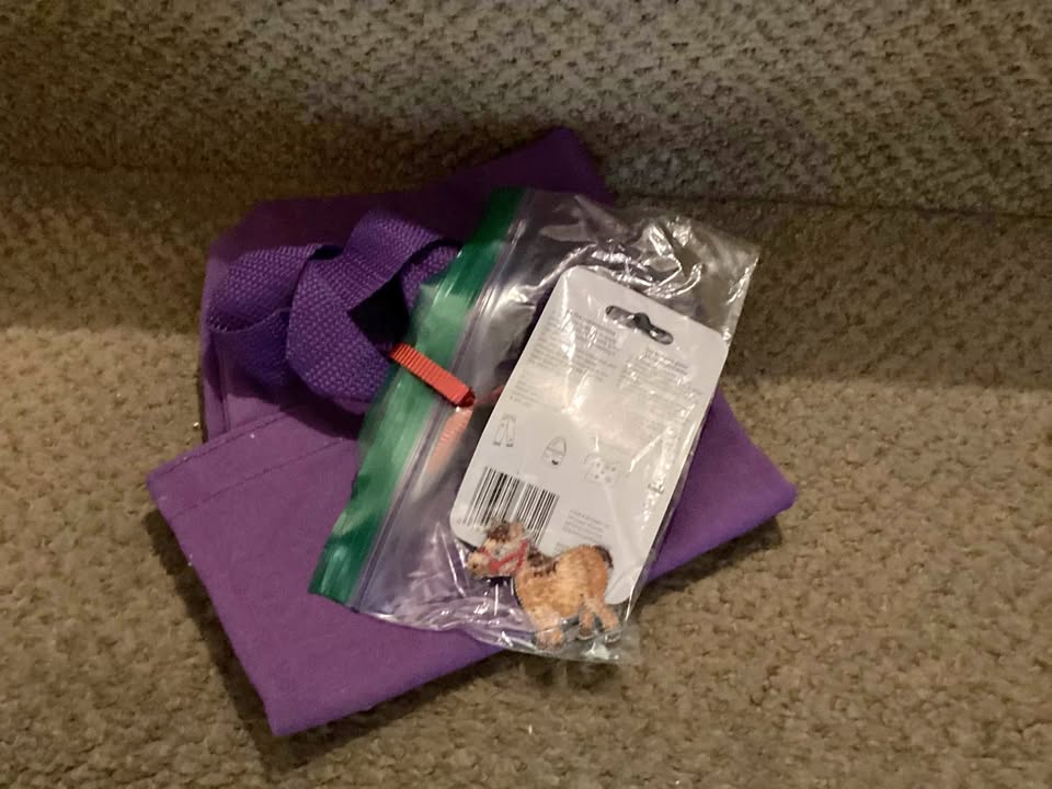Craft bag and patch