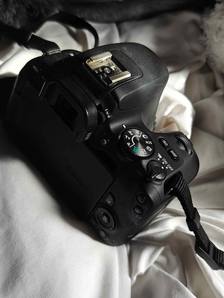Canon EOS Rebel SL2 DSLR Camera with 18-55mm + extras - photo 2