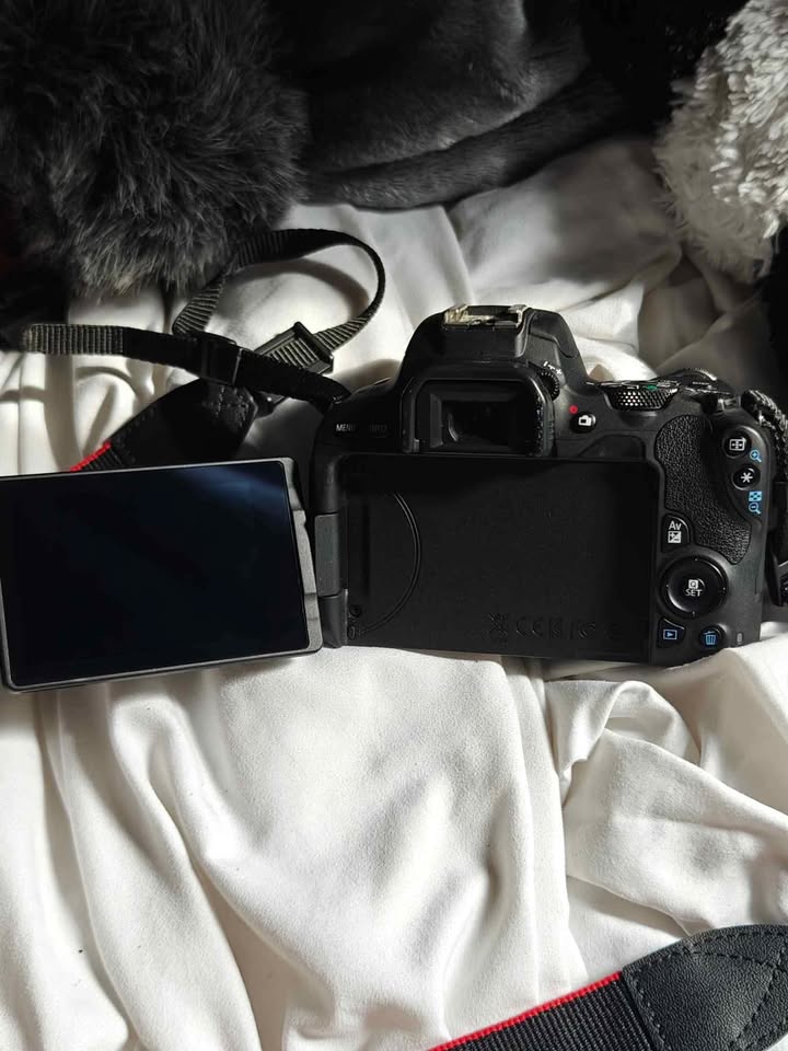 Canon EOS Rebel SL2 DSLR Camera with 18-55mm + extras - photo 3