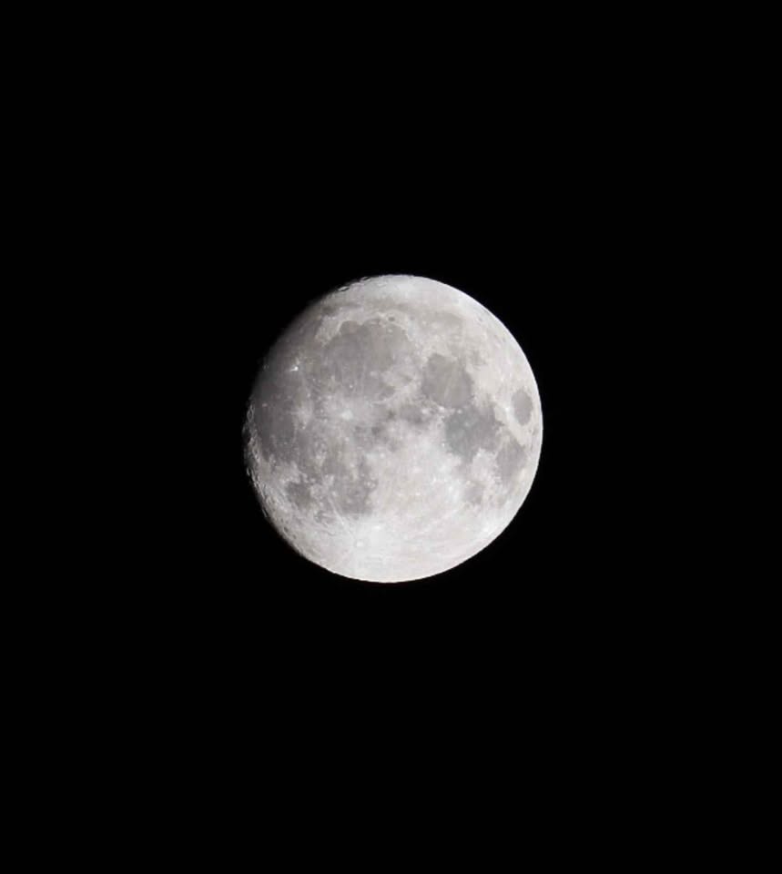 Canon Lens EF-S 55-250mm f/4-5.6 IS STM - photo 3