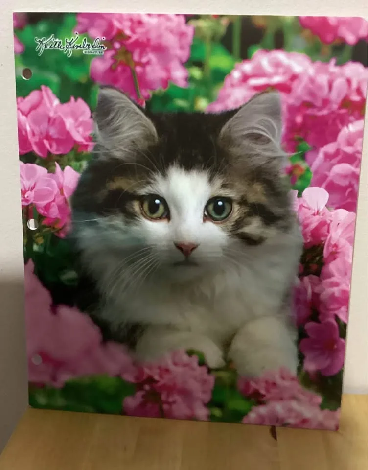 Folders image indicator(4)