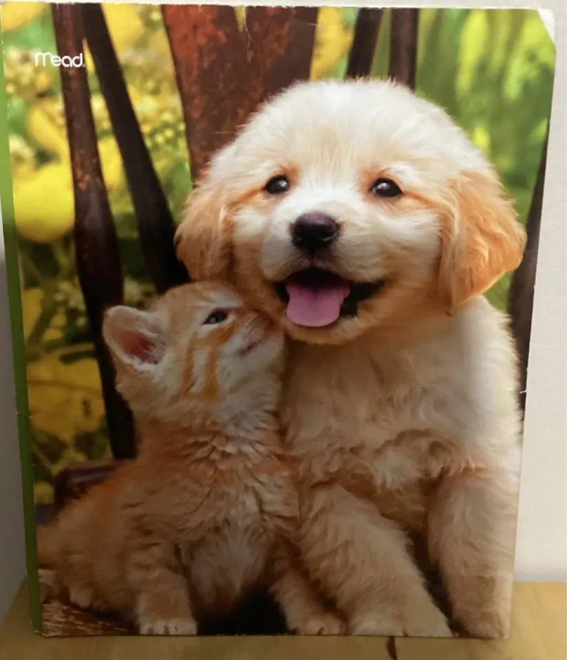 Folders image indicator(5)