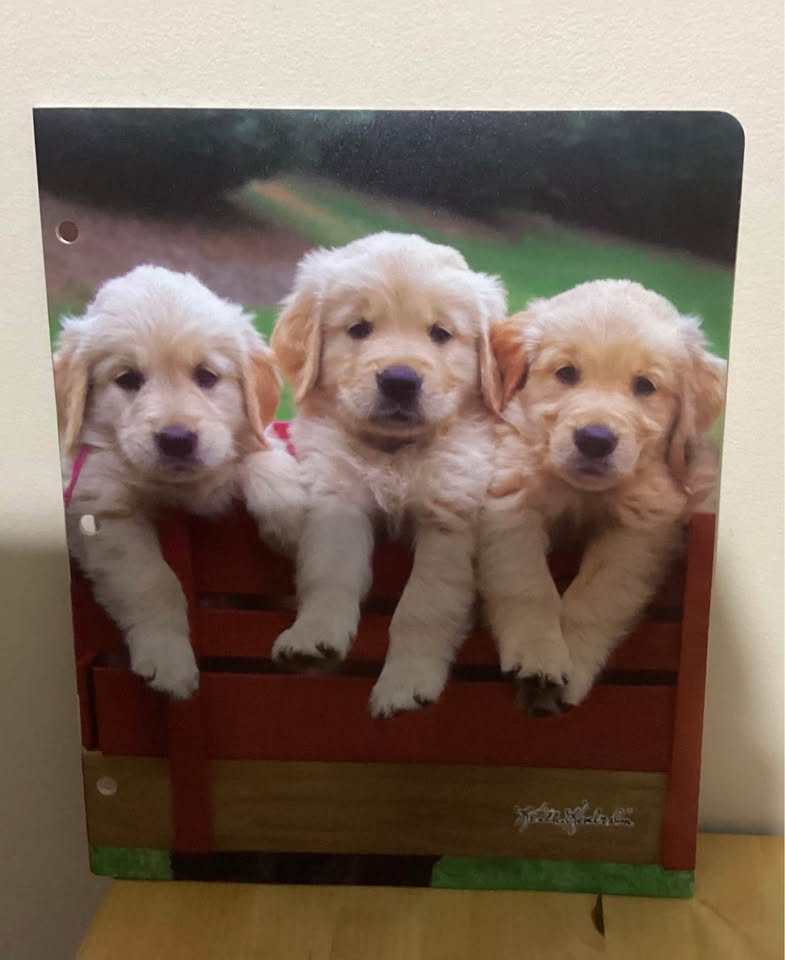 Folders - photo 2