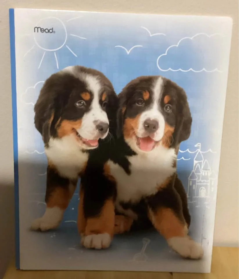 Folders image indicator(5)