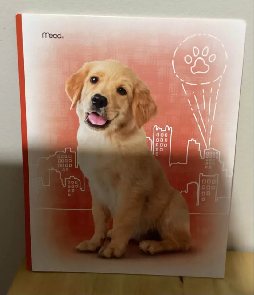 Folders image indicator(6)