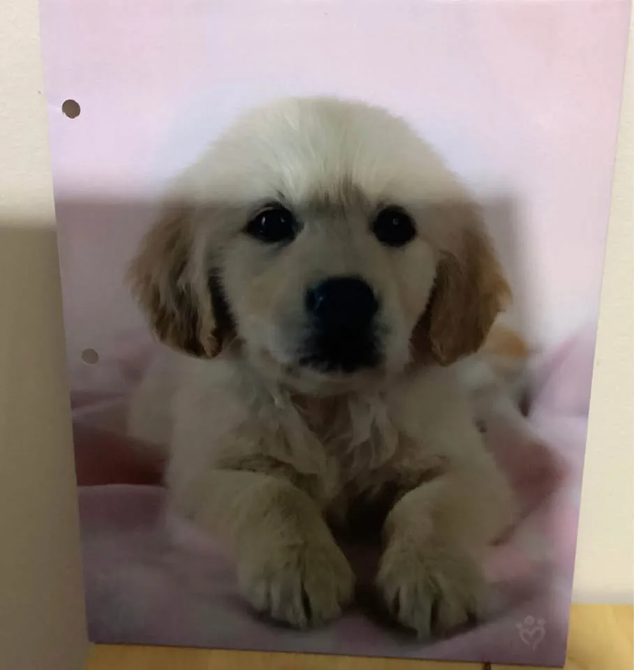 Folders image indicator(9)