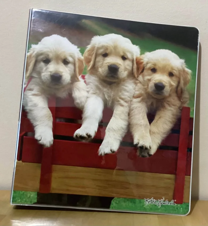 Binders image indicator(2)