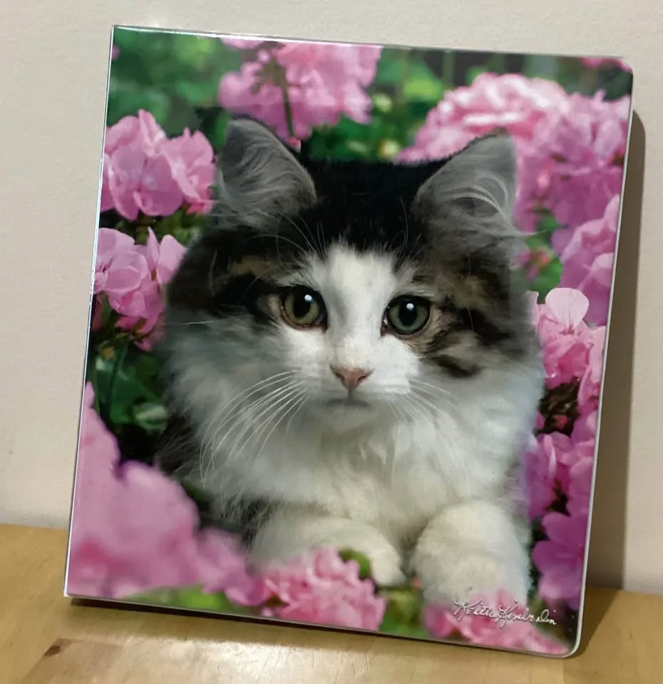 Binders image indicator(9)