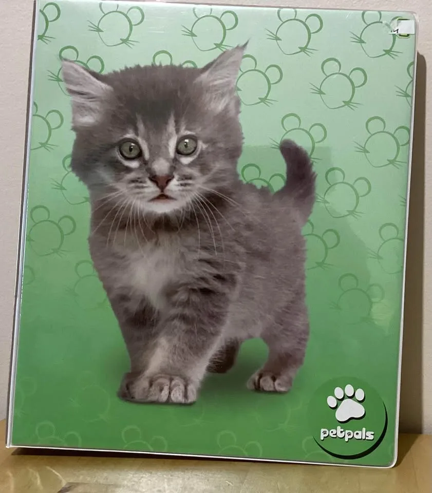 Binders image indicator(10)