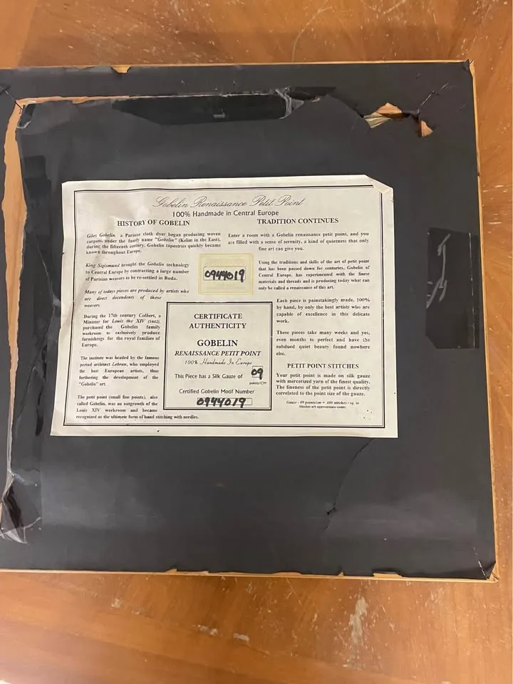 Fine needles point frame image indicator(3)