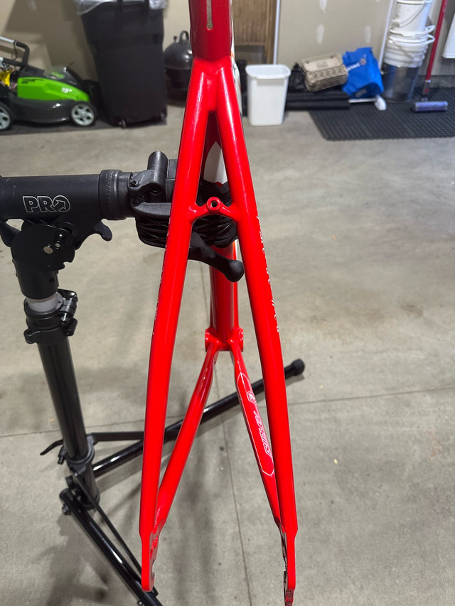 Ridley PRW Frameset - photo 3