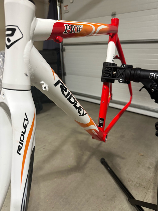 Ridley PRW Frameset - photo 4